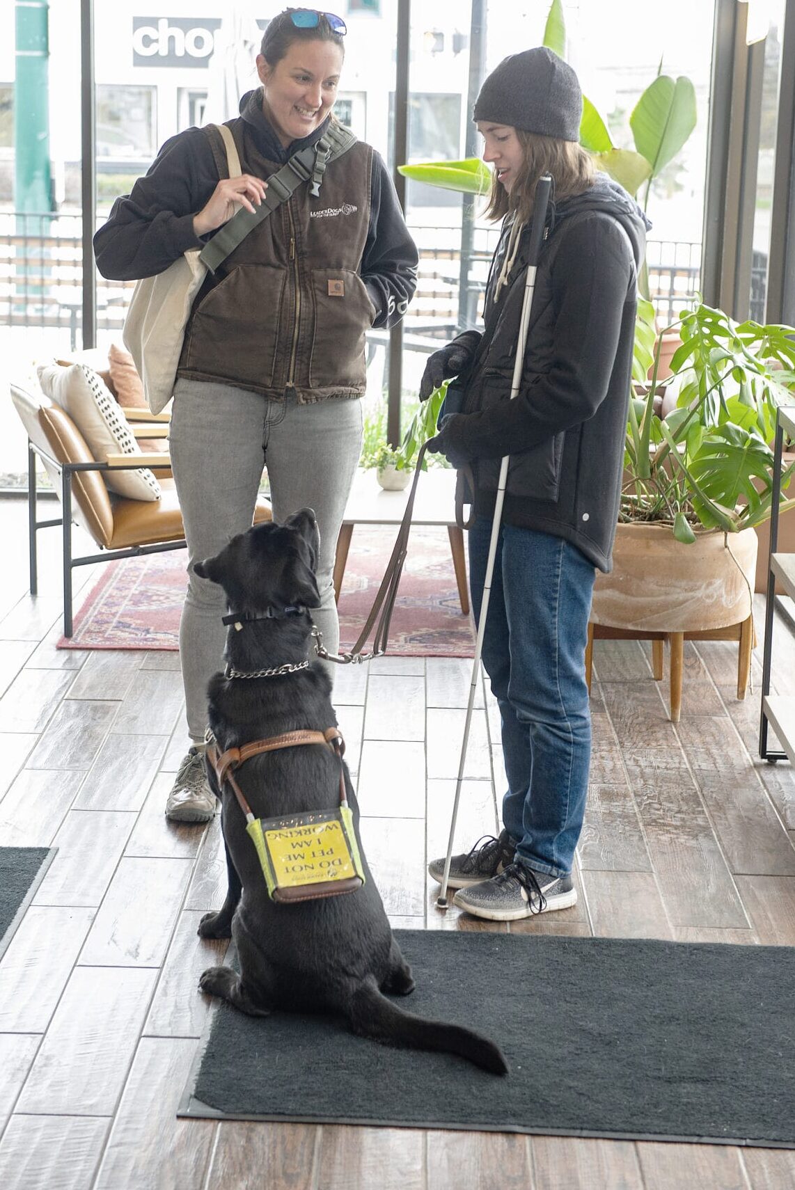 A person with a guide dog interacts with another individual in a bright, plant-filled indoor space.
