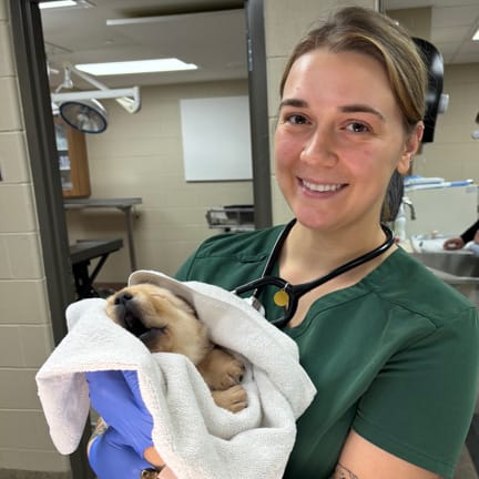My Veterinary Externship at Leader Dog