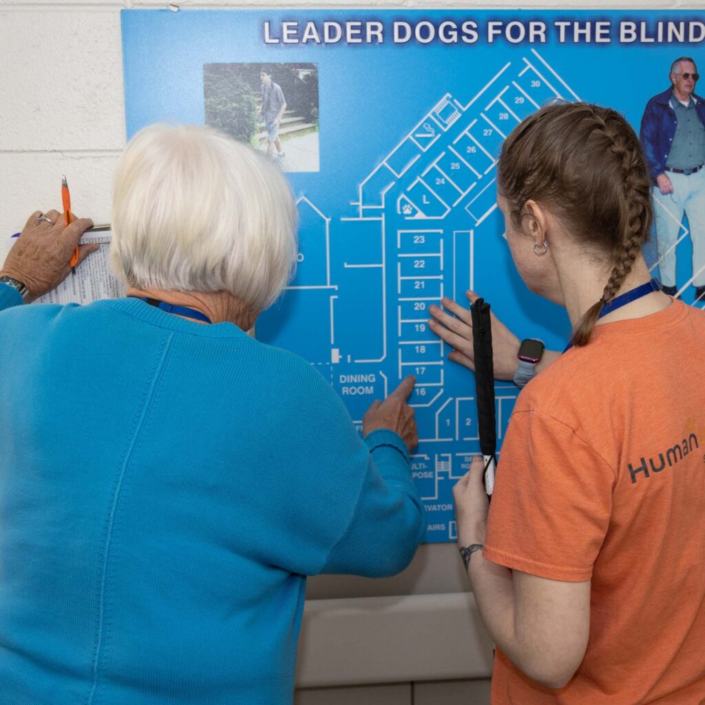 Why Accessibility Matters: Celebrating Global Accessibility Awareness Day
