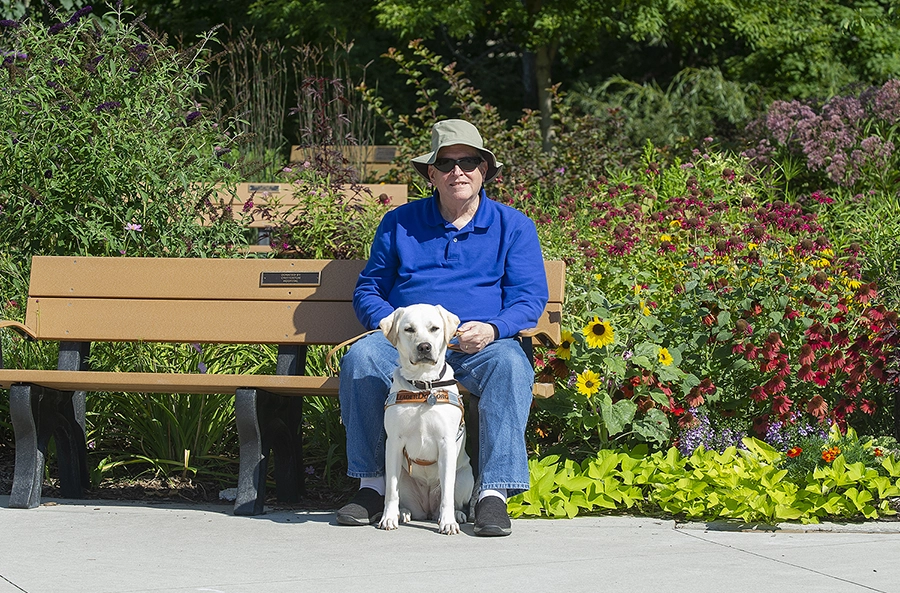 Three Journeys with Leader Dogs