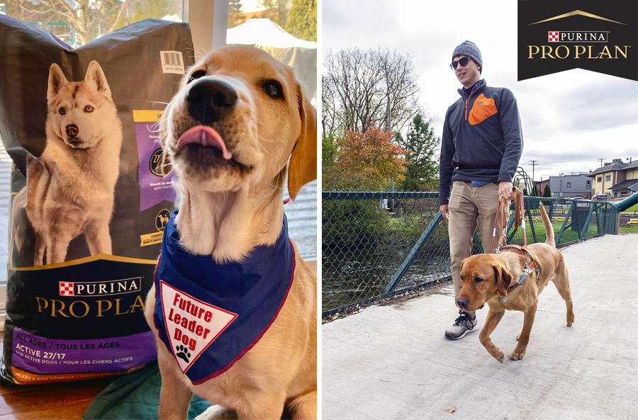 ProPlan: Fueling Leader Dogs for over 20 Years