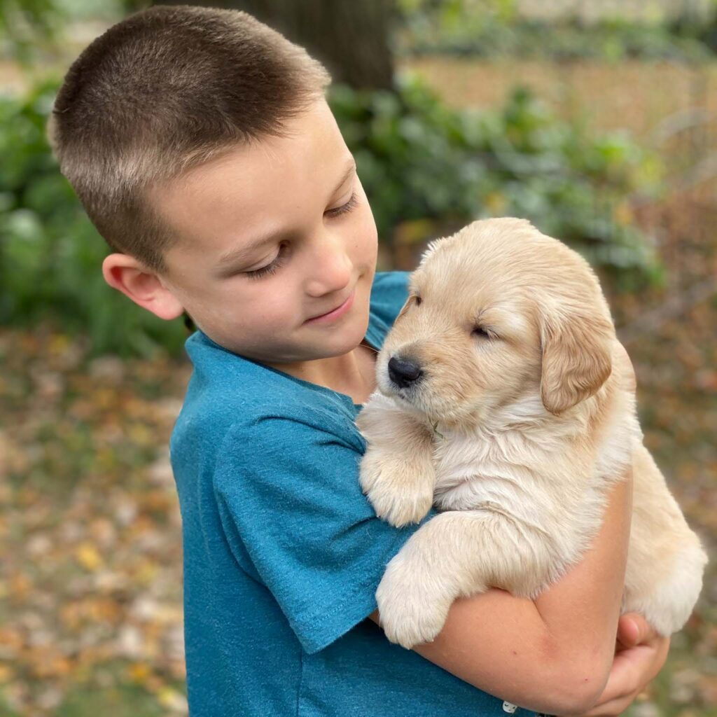 Love Puppies? Help Bring Guide Dogs Into the World—Right From Your Home!