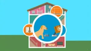 Preparing Your Home for a Guide Dog