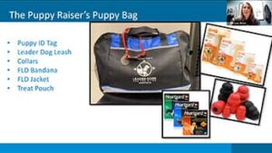 A presentation slide showcases a puppy bag with various essential items for puppy raising, including a leash, collars, a bandana, a jacket, and treat pouch.