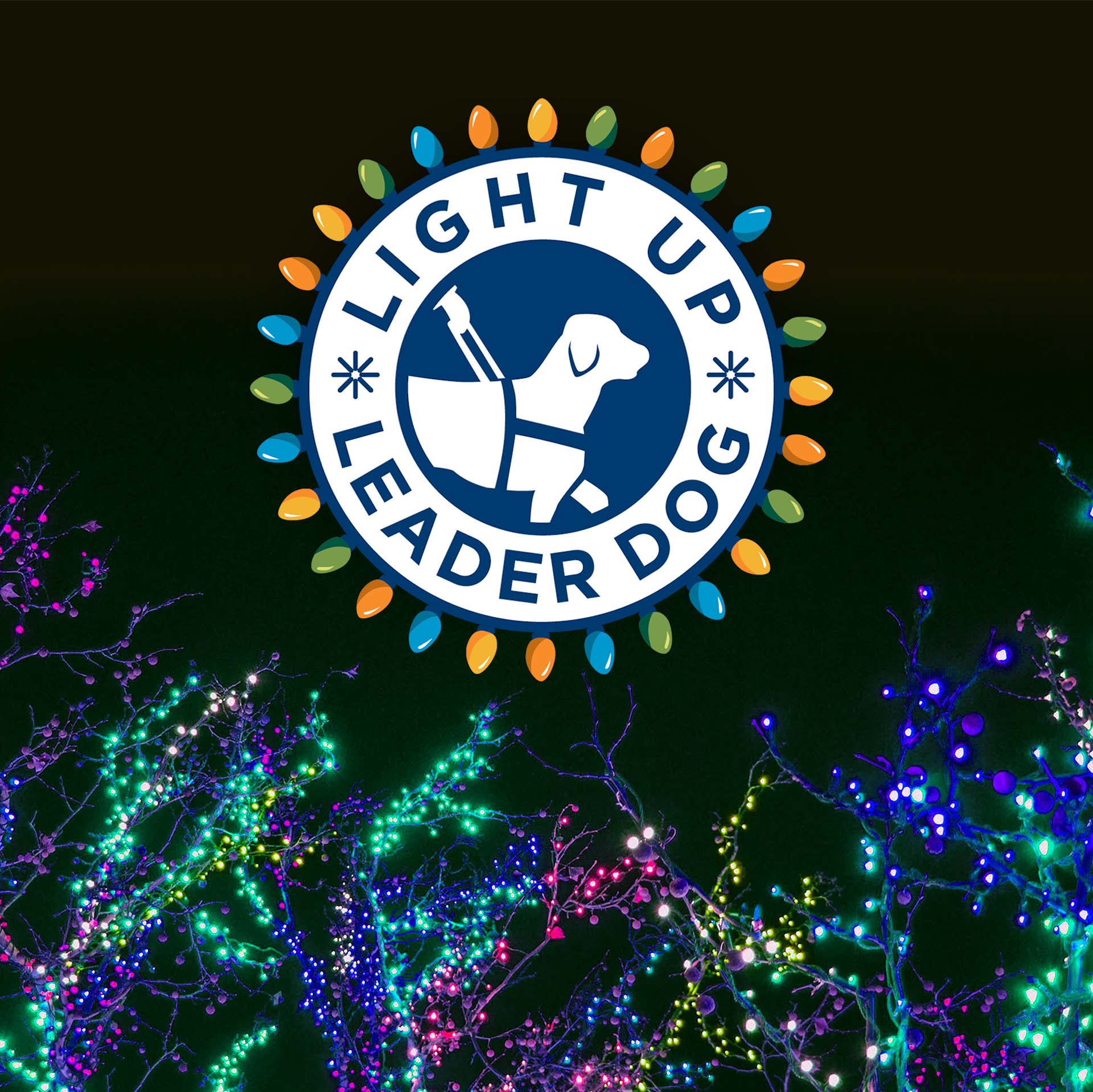 A vibrant display of colorful Christmas lights surrounds a circular logo that reads 