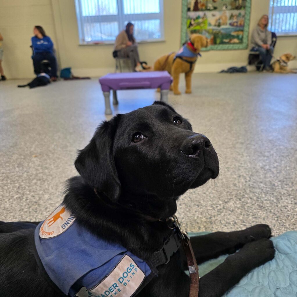 December 2025 – Future Leader Dog Roo Update